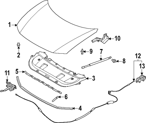Hood & Components for 2025 Nissan Murano #0