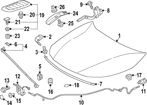 Hood & Components for 2023 Toyota GR Corolla #0