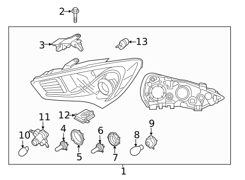 Bulbs - Chassis for 2013 Hyundai Genesis Coupe #0