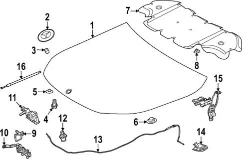 Hood & Components for 2021 Mercedes-Benz GLA 35 AMG® #0