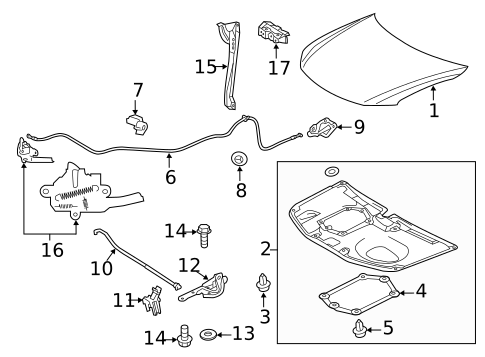 Hood & Components for 2013 Scion tC #0