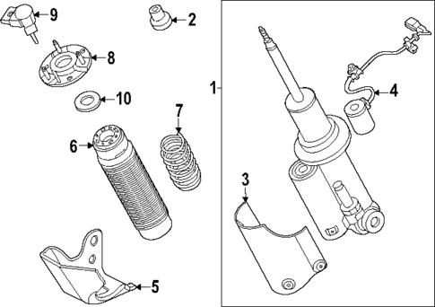 Shocks & Components for 2025 Ford Ranger #0
