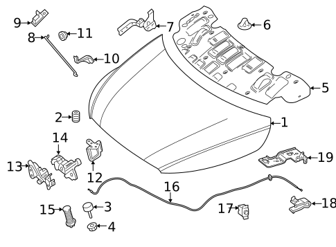 HOOD & COMPONENTS for 2018 Mercedes-Benz Metris #0