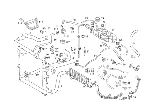 Expansion Tank, Mounting and Hoses for 2002 Mercedes-Benz ML55 AMG #1