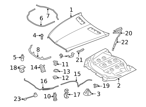 Hood & Components for 2011 Mercedes-Benz S 65 AMG® #1