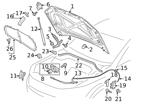 Hood & Components for 2019 Volkswagen Passat #0