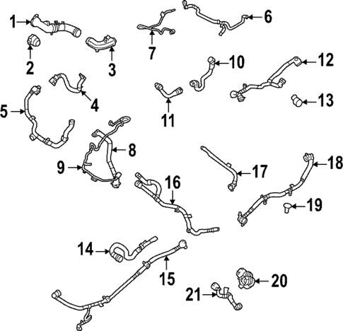 Hoses & Lines for 2022 Land Rover Range Rover #1