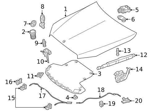 Hood & Components for 2018 Mercedes-Benz E63 AMG S #1