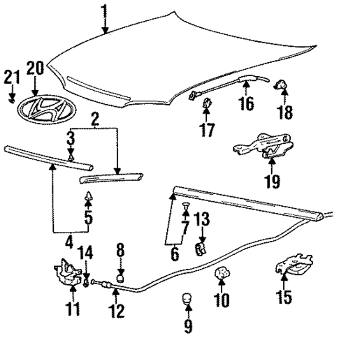 Hood & Components for 1995 Hyundai Accent #0