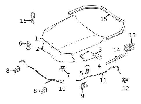 Exterior Trim - Hood for 2025 Mercedes-Benz S500 #0