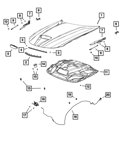 Hood and Hood Release for 2017 Dodge Charger #2
