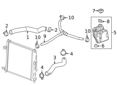 Radiator Hoses for 2022 Chevrolet Camaro #1