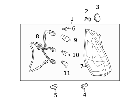 Bulbs - Chassis for 2008 Mazda 5 #0