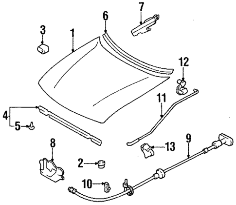 Hood & Components for 1994 Kia Sephia #0
