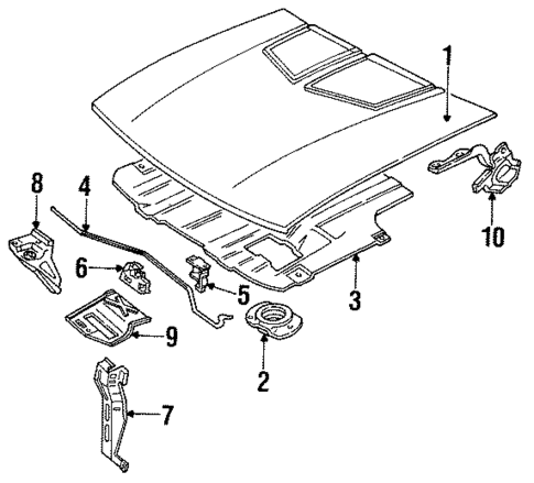 Hood & Components for 1991 Chevrolet Cavalier #0