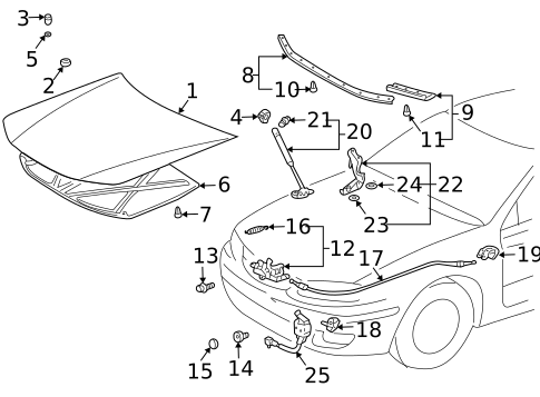 Hood & Components for 2000 Toyota Solara #0