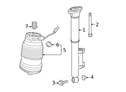 Shocks & Components for 2022 Mercedes-Benz E450 #1