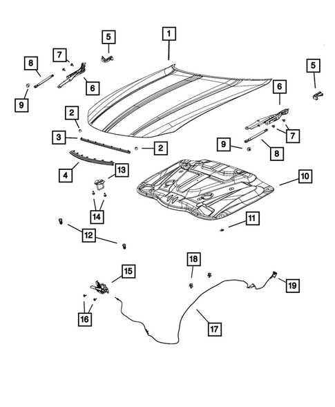 Hood and Hood Release for 2020 Dodge Charger #2