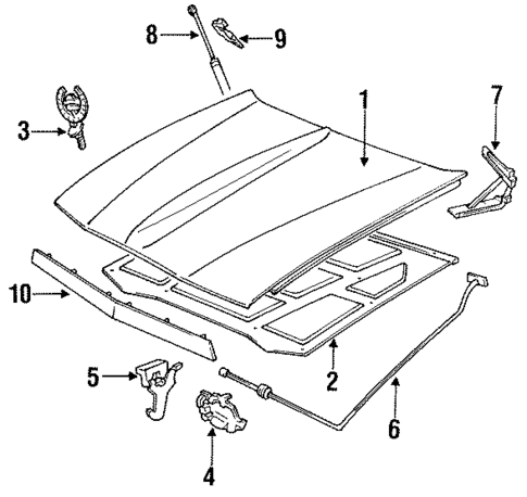 Hood & Components for 1988 Cadillac Seville #0