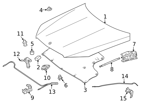 Hood & Components for 2022 Mercedes-Benz GLS 63 AMG® #0