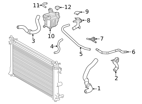 Hoses & Pipes for 2025 Toyota Corolla #0