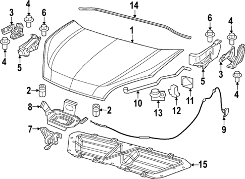 Hood & Components for 2019 Ram ProMaster City #0
