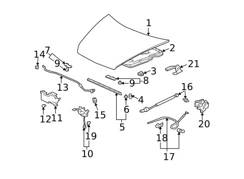 Hood & Components for 2005 Honda Accord #1
