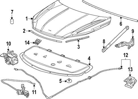 Hood & Components for 2025 Buick Enclave #0