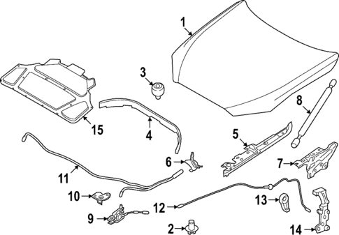 Hood & Components for 2024 BMW i4 #0