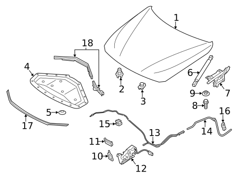 Hood & Components for 2015 BMW 428i xDrive Gran Coupe #0