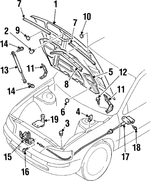 Hood & Components for 1996 INFINITI I30 #0
