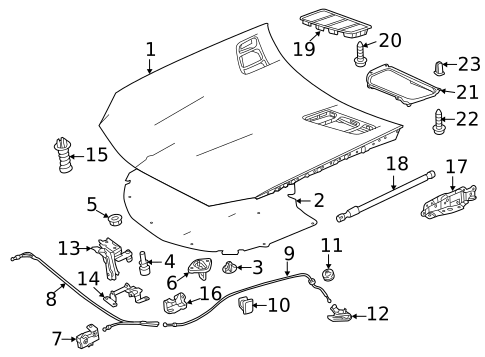 Hood & Components for 2016 Mercedes-Benz SLK300 #0