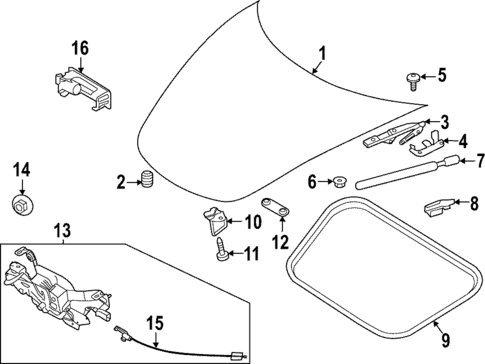 Hood & Components for 2020 Porsche 911 #0