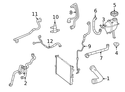 Hoses & Lines for 2022 Mercedes-Benz GLE 53 AMG® SUV #0