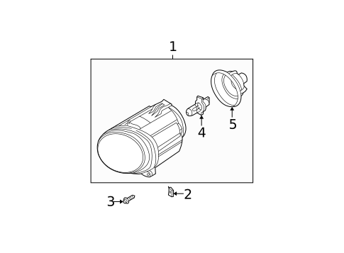 Bulbs - Chassis for 2006 BMW X5 #2