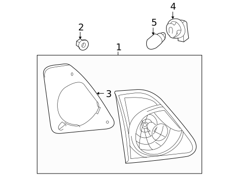 Bulbs - Chassis for 2010 Toyota Corolla #3