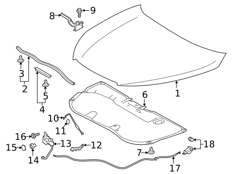 Hood & Components for 2019 Toyota Highlander #0