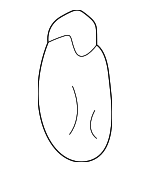 34261S84A00 - Body: Bulb for Honda: Accord, Civic Image