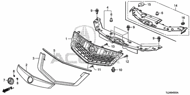 Front Grille (1) for 2010 Acura TSX #0