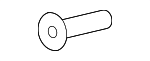 XR82460 - Body: Striker Screw for Jaguar Image