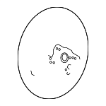 78501S84A71ZB - : 1998-2002 Honda Accord - Wheel Steering *YR164L* (Leather) (Medium Taupe) for Honda: Accord Image