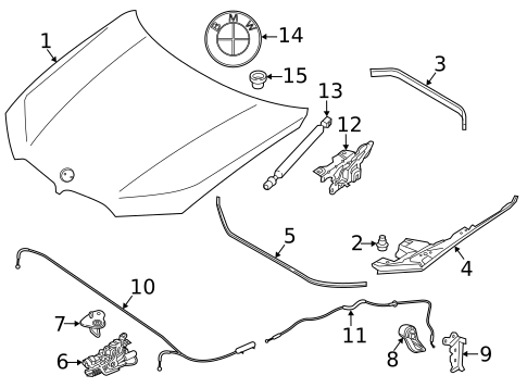 Hood & Components for 2024 BMW X6 #0