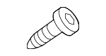 90113SJAA00 - Electrical: Fog Lamp Screw for Acura Image