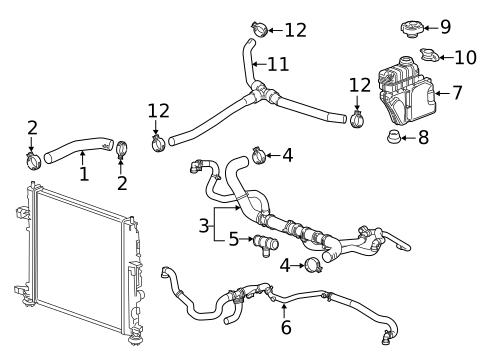 Radiator Hoses for 2024 Chevrolet Camaro #1