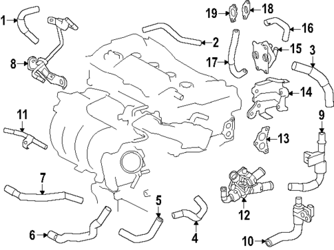 Hoses & Lines for 2025 Toyota Crown Signia #0