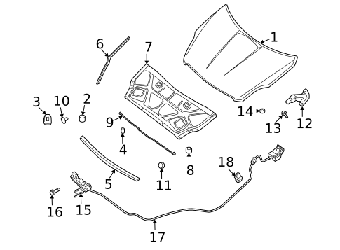 Hood & Components for 2009 Nissan Altima #0