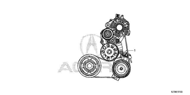 Alternator Belt (1) for 2020 Acura TLX #0