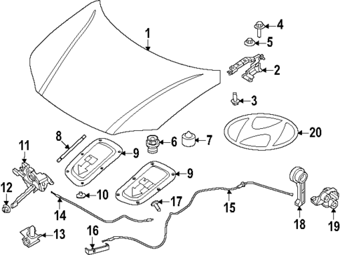 Hood & Components for 2024 Hyundai Ioniq 6 #0