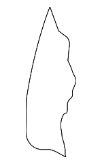 8K0885776G - Body: Seat Back Pad for Audi Image