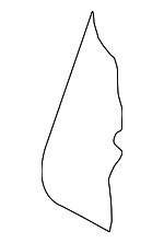 8K0885775D - Body: Seat Back Pad for Audi Image